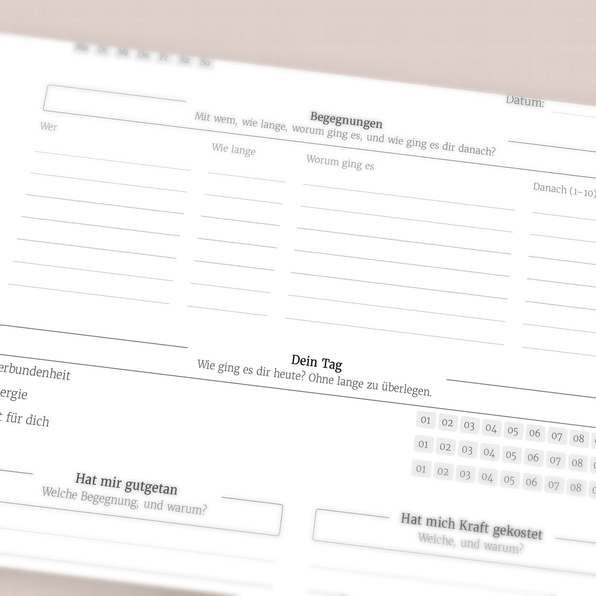 Umfeld-Protokoll – Workbook (digital für Tablet & zum Ausdrucken)