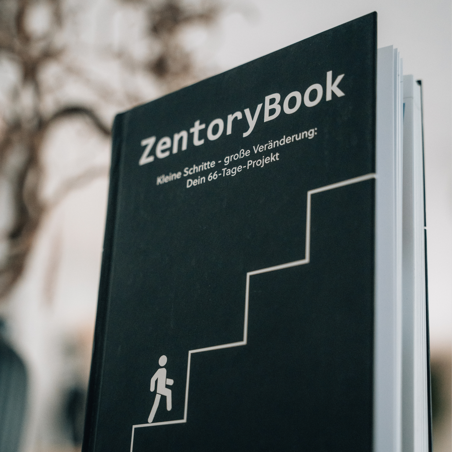 ZentoryBook