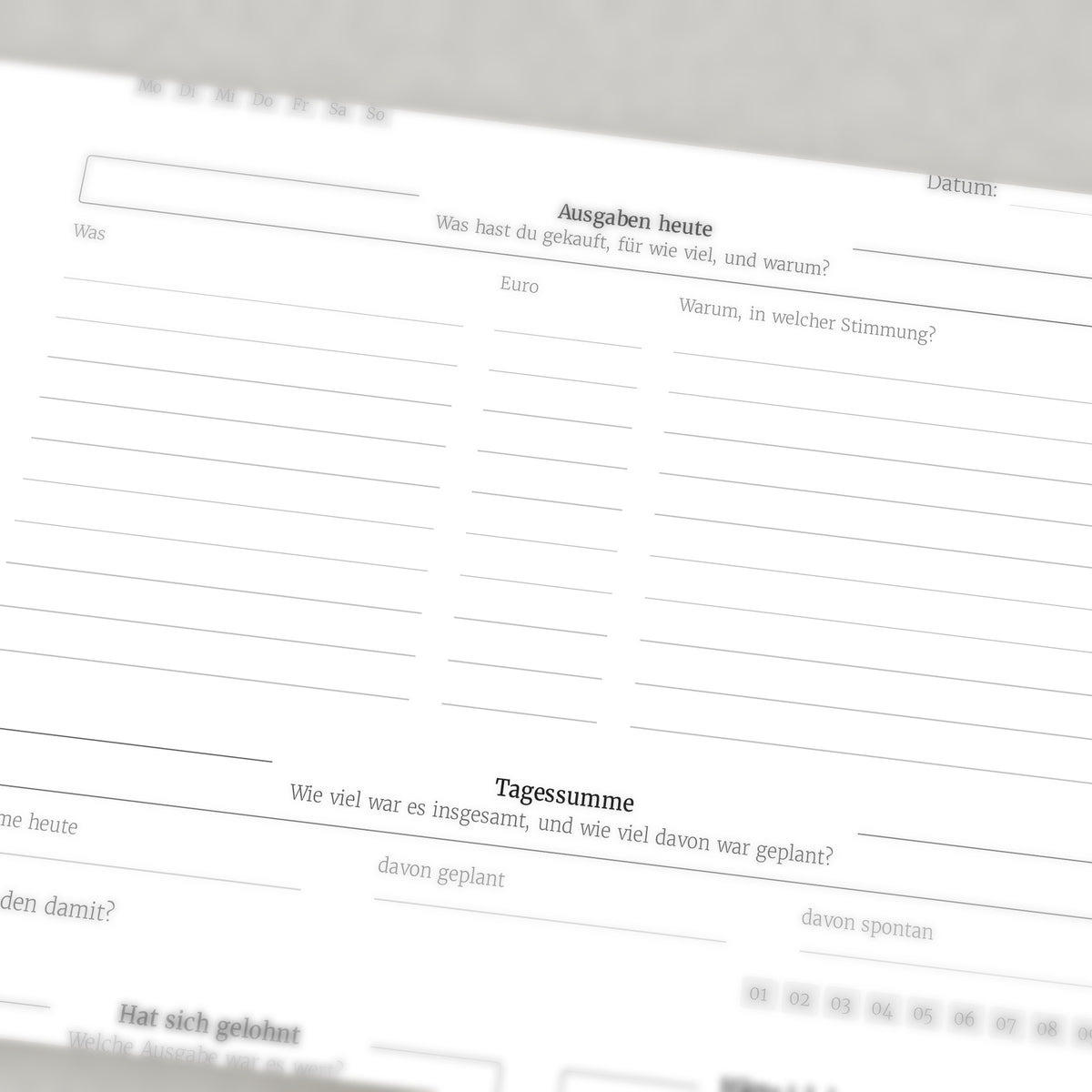 Geld- und Finanz-Protokoll – Workbook (digital für Tablet & zum Ausdrucken)