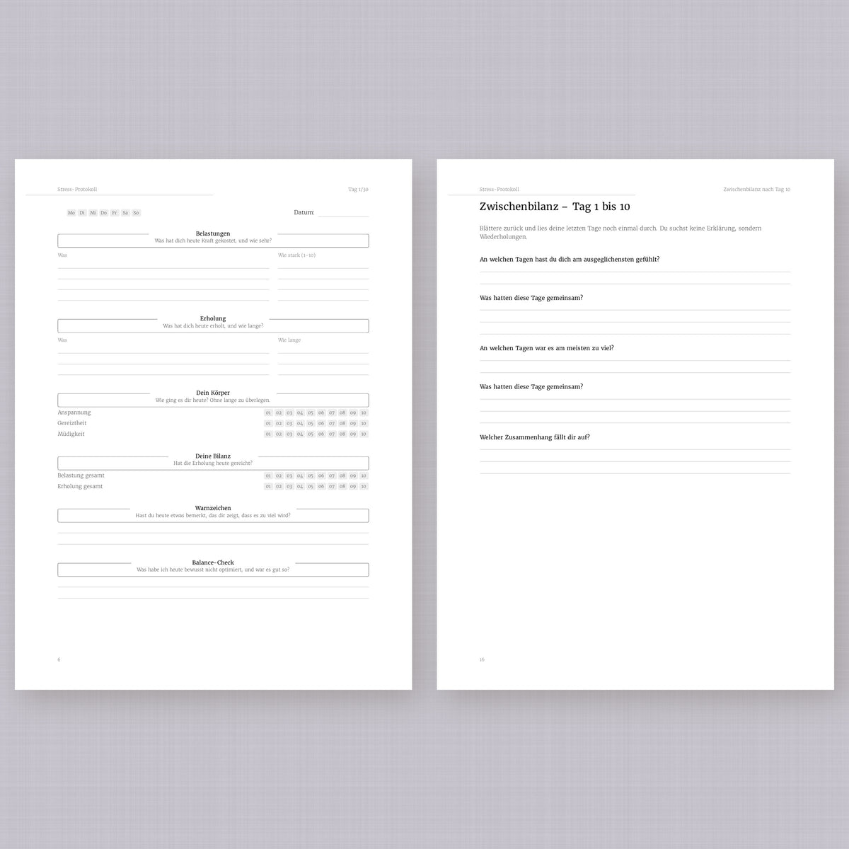 Stress-Protokoll – Workbook (digital für Tablet & zum Ausdrucken)